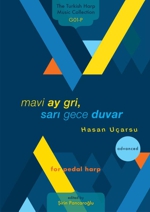 mavi ay gri, sari gece duvar