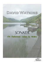 Sonata - Mr Naderman comes to Wales
